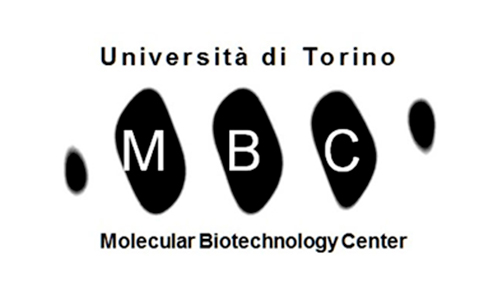 Università di Torino MBC